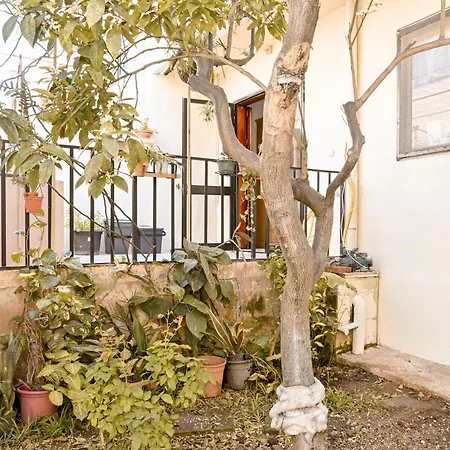 Mediterranea Sunny Maltese Townhouse - Happy *